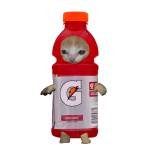 ☆Gatinho★Gatorade★ Forever☆ Profile Picture