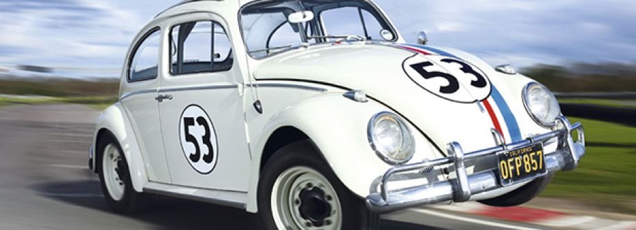 Herbie O Fusca 53 Profile Picture