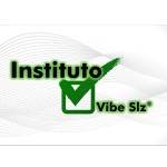 Instituto Vibe Slz Profile Picture